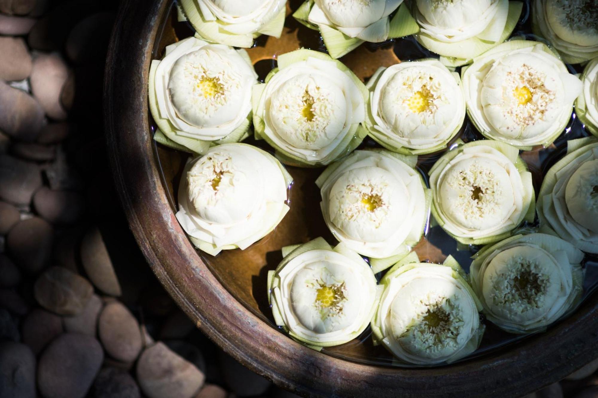 Sheraton Grande Sukhumvit, A Luxury Collection Hotel, Банкок Екстериор снимка White lotus flowers